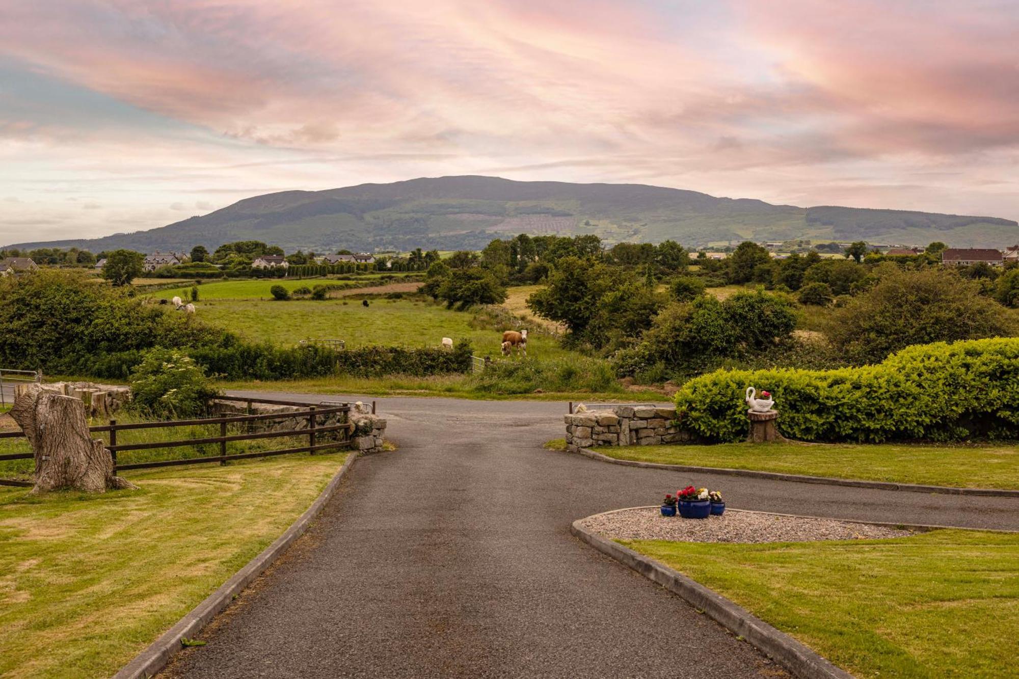 Mountain Nest At The Foot Of Slieve Gullion Appartement Cloghoge Buitenkant foto